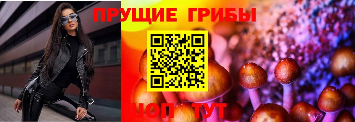 Псилоцибиновые грибы Cubensis  Вход с VPN  Туапсе 